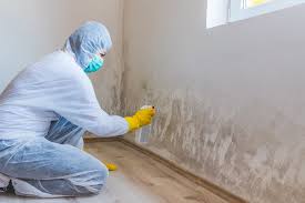 Holcom, KS Mold Removal & Remediation Company